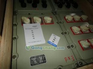 BXMDG58防爆照明動力配電箱 能源領(lǐng)域的安全守護者